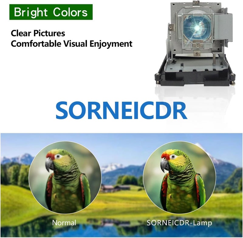 SORNEICDR مصباح بديل لبروجكتور BL-FU310B / 5811118436-SOT متوافق مع بروجكتورات OPTOMA DH1014 DH1017 EH500 X600، مع هيكل - Image 3